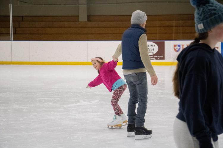 families skating