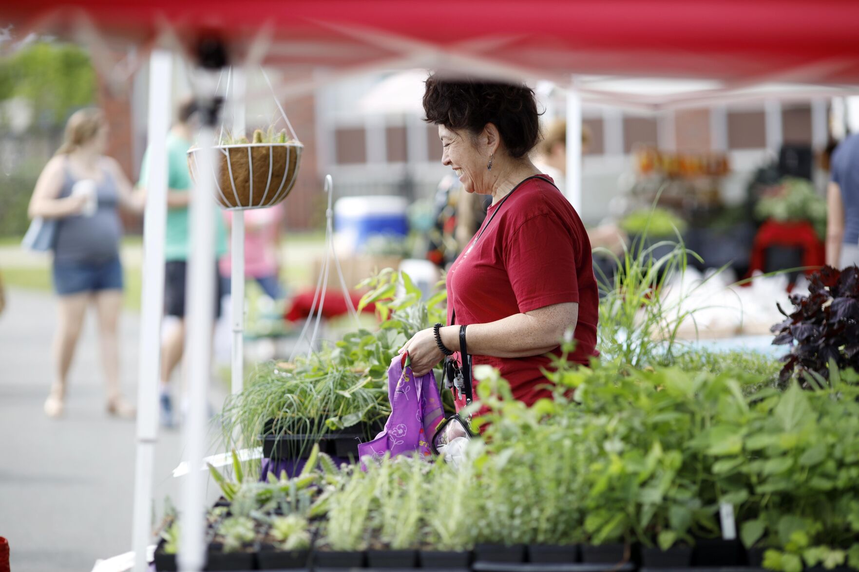 pittsfield township farmers market pittsfield township farmers market