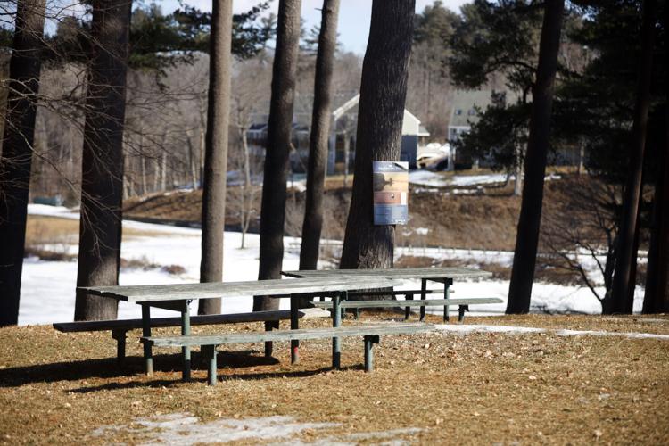 picnic tables at pontoosuc park