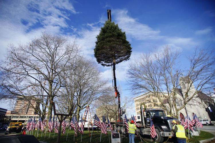 The Pittsfield holiday tree arrived in Park Square
