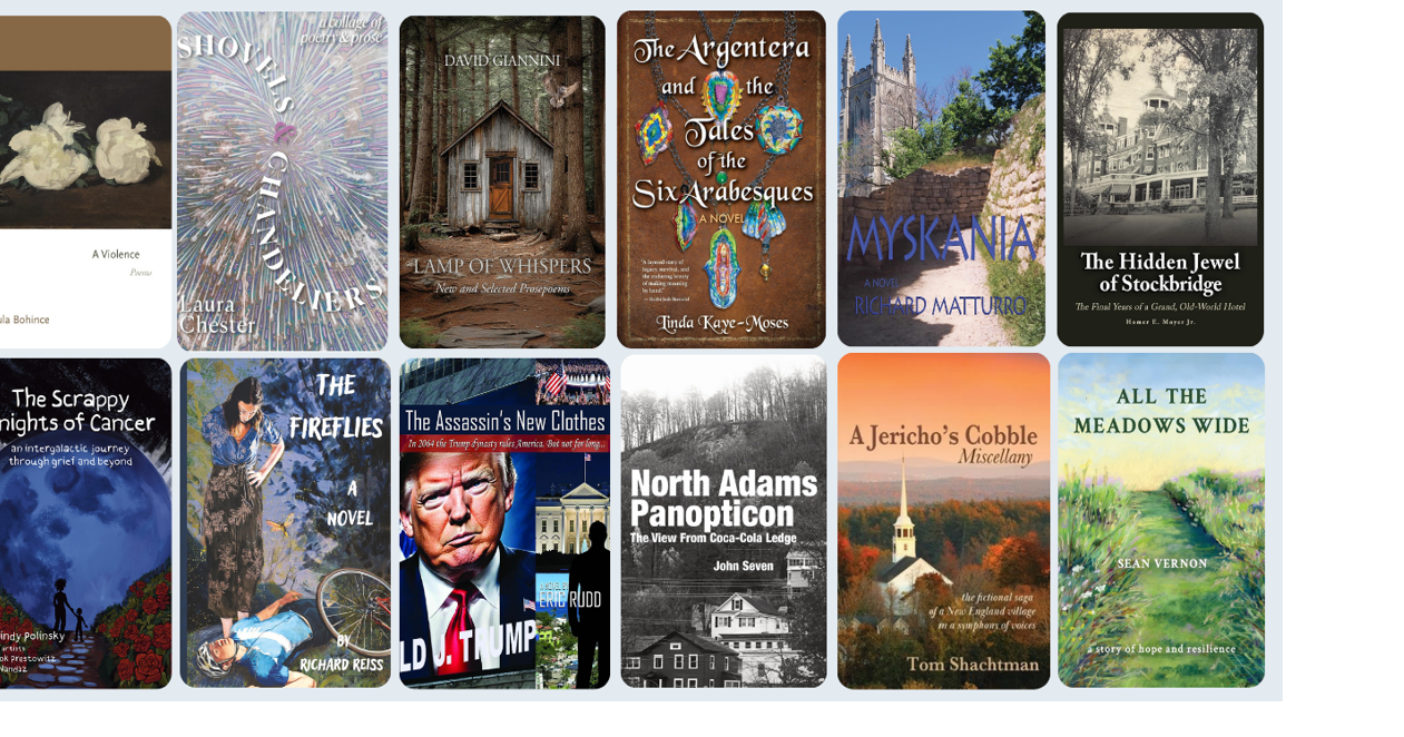 Discover 12 new books from Berkshire authors, poets and storytellers