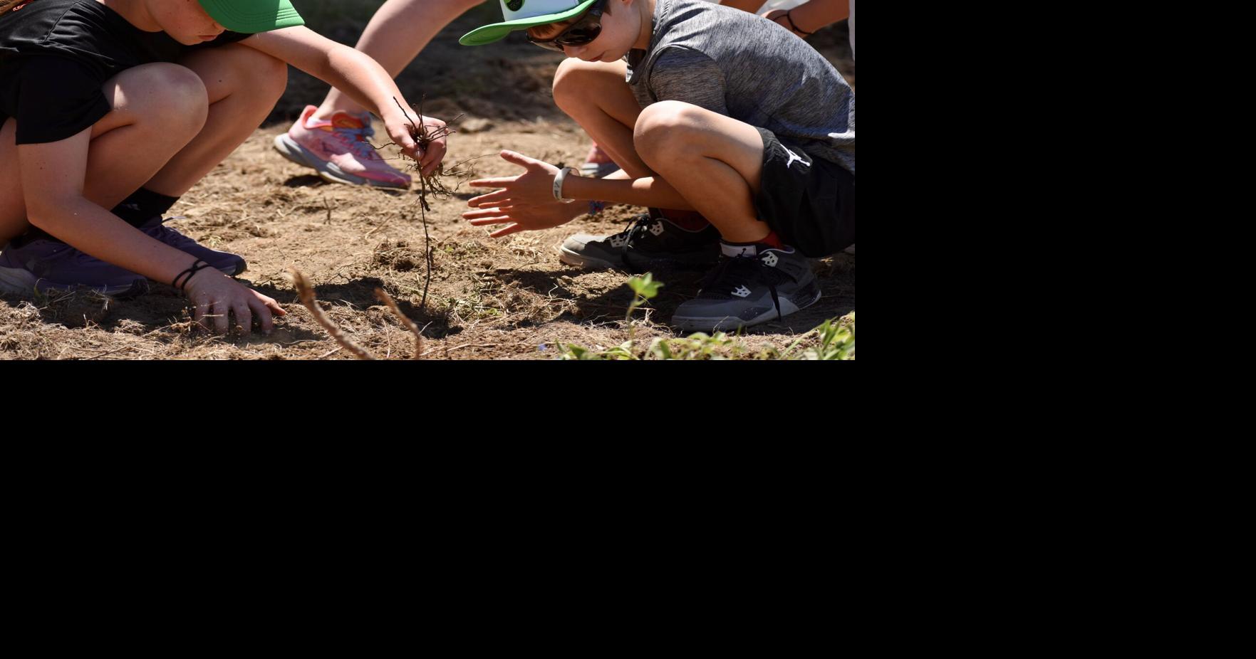 Students from Lee Elementary School help plant 65 trees to commemorate babies born in 2025