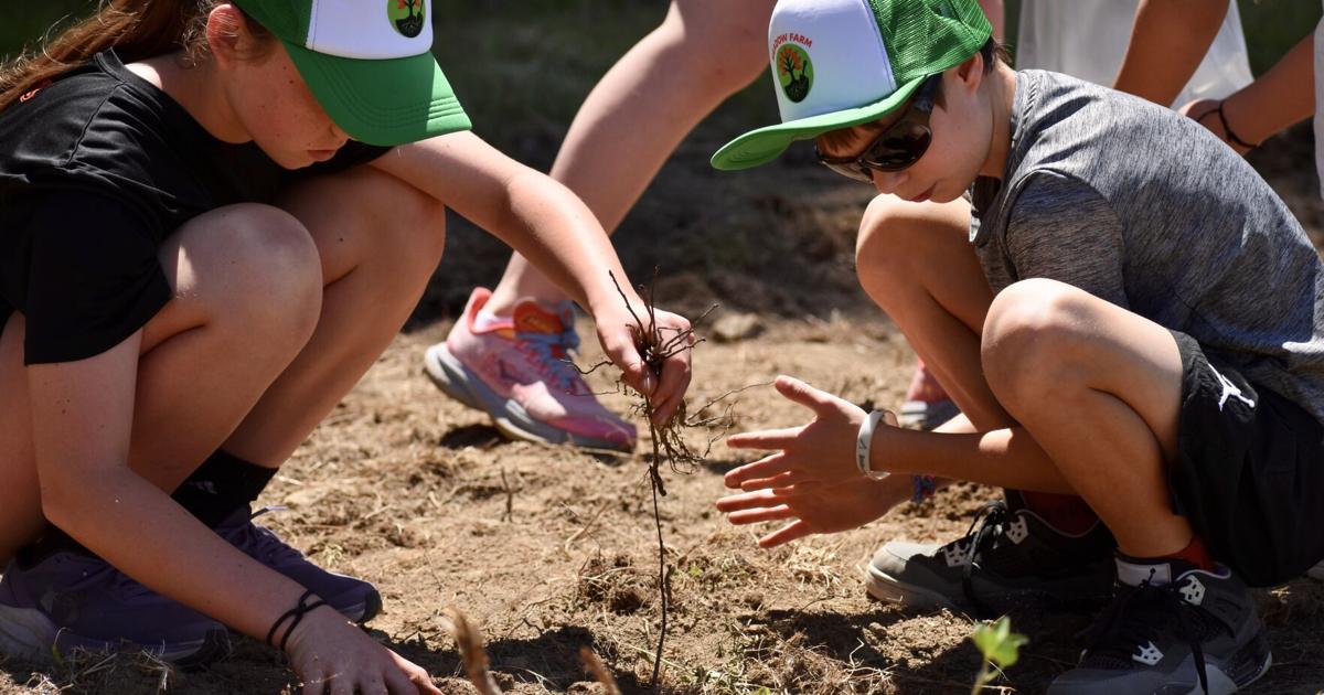 Students from Lee Elementary School help plant 65 trees to commemorate babies born in 2025
