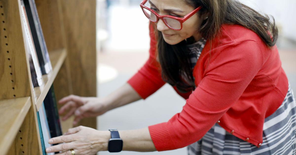 Pittsfield's library expands its world language collection with 75 new ...