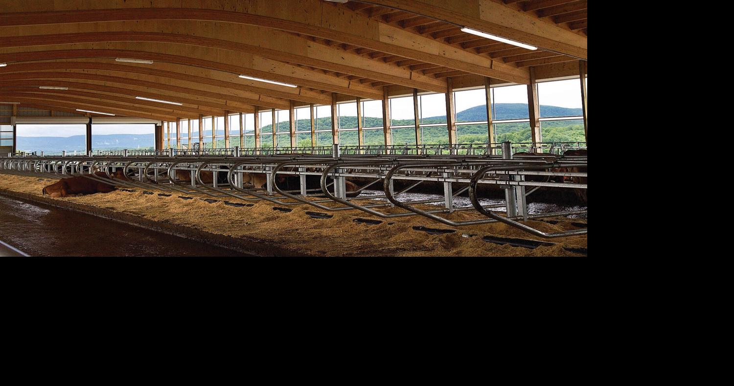 Once HyAcres Farm, dairy farm celebrates a revival as High Meadows of