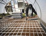 Starting Spring Planting at Whitney's