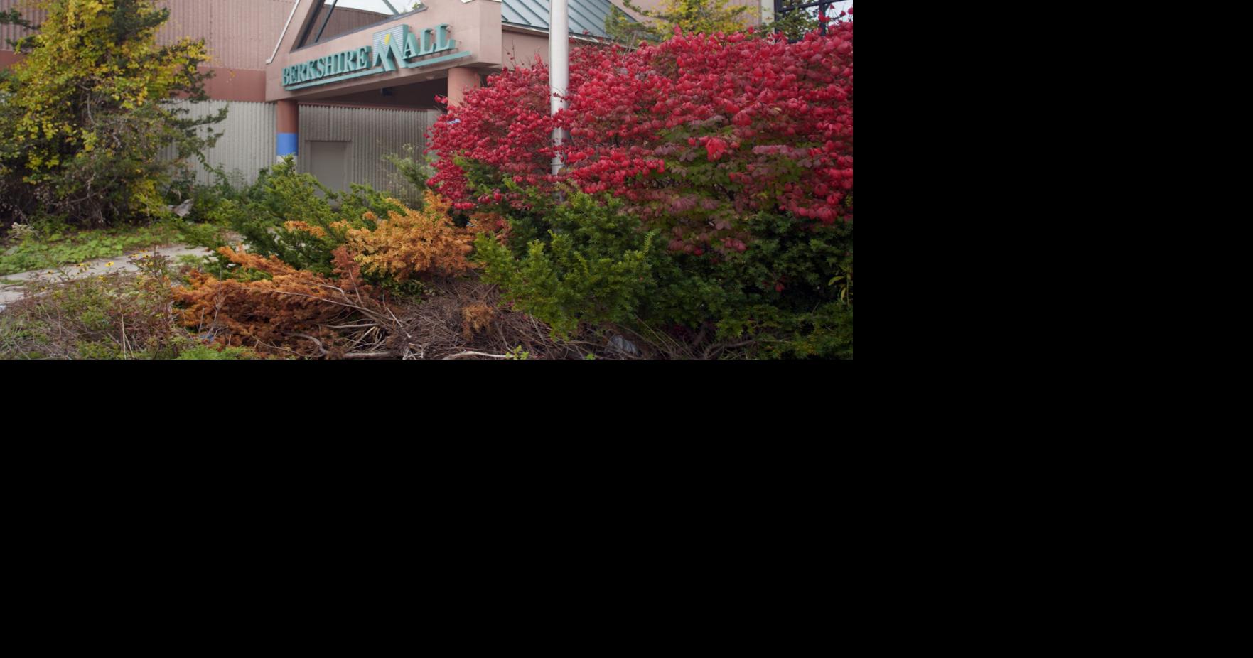 The Hampshire - A Provincial Senior Living Community Proposed senior housing community at the Berkshire Mall could be a boon
