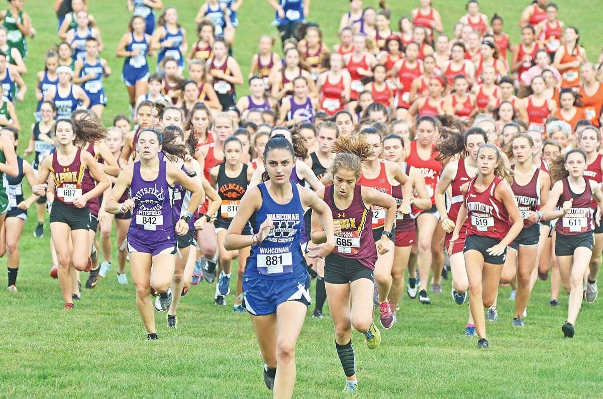 In modified cross-country season MIAA calls for dual meets, staggered