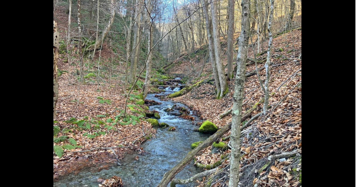 After forestland acquisition, Pownal, Vt., seeks to revive its