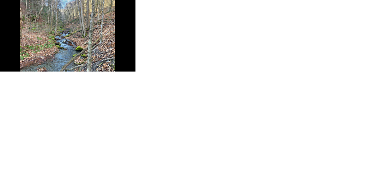 After forestland acquisition, Pownal, Vt., seeks to revive its conservation commission - Vimarsana News