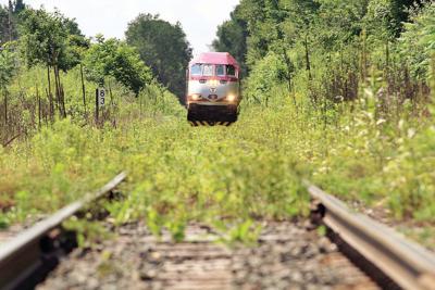 Train car on overgrown tracks