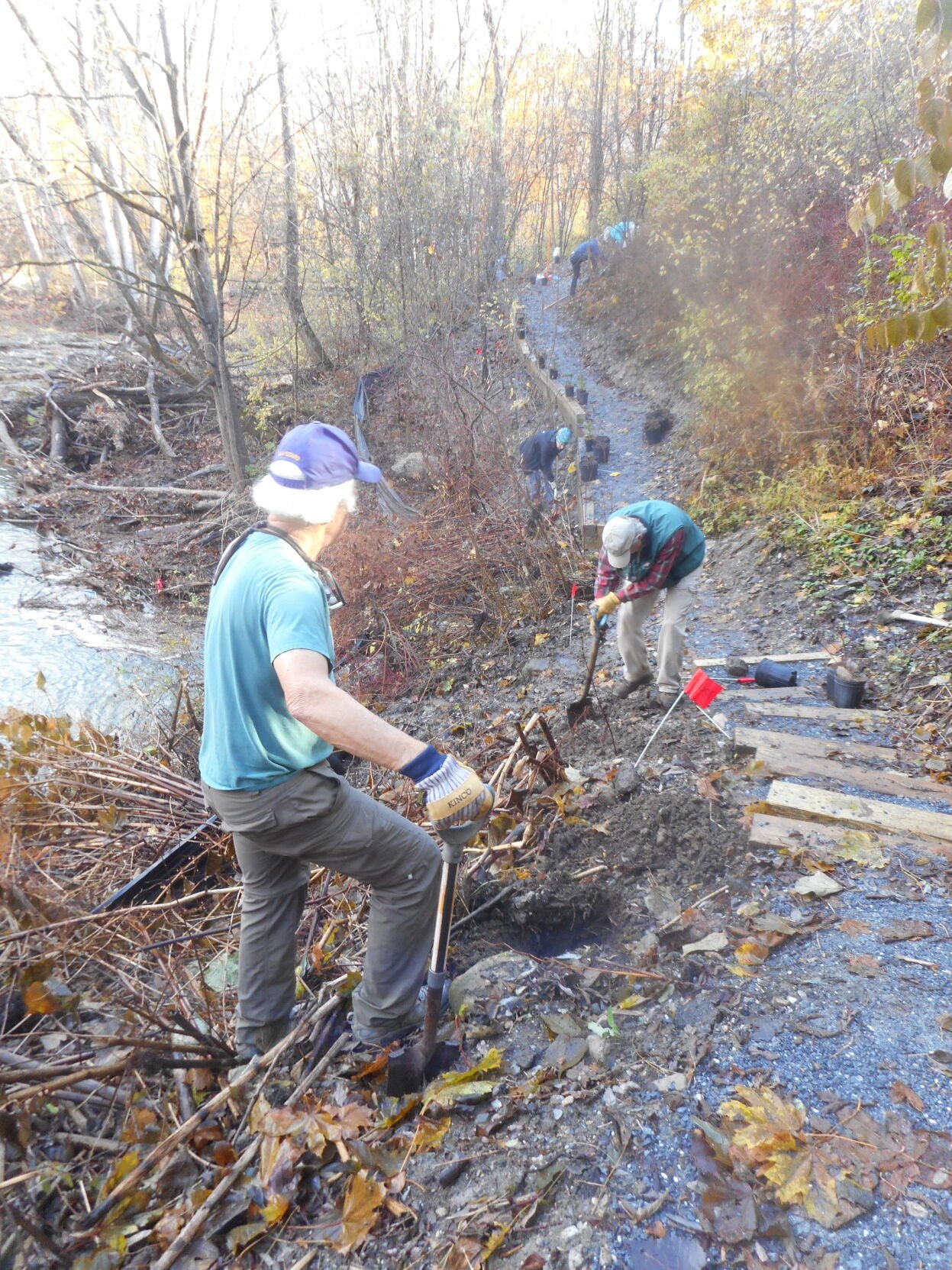 volunteers work on a trail