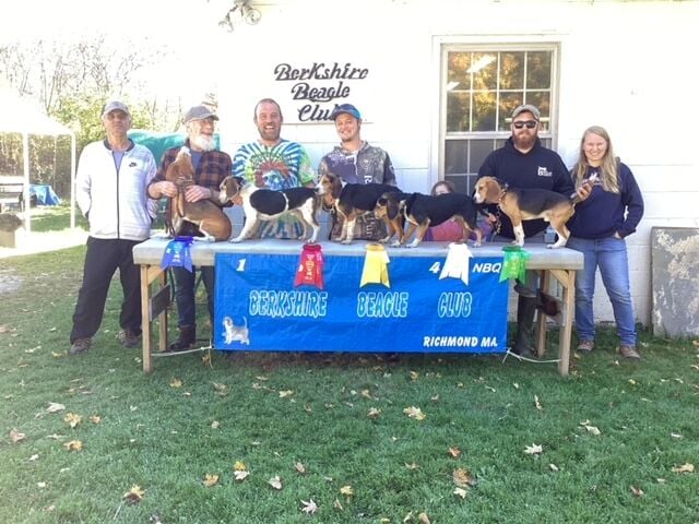 beagle field trial winners