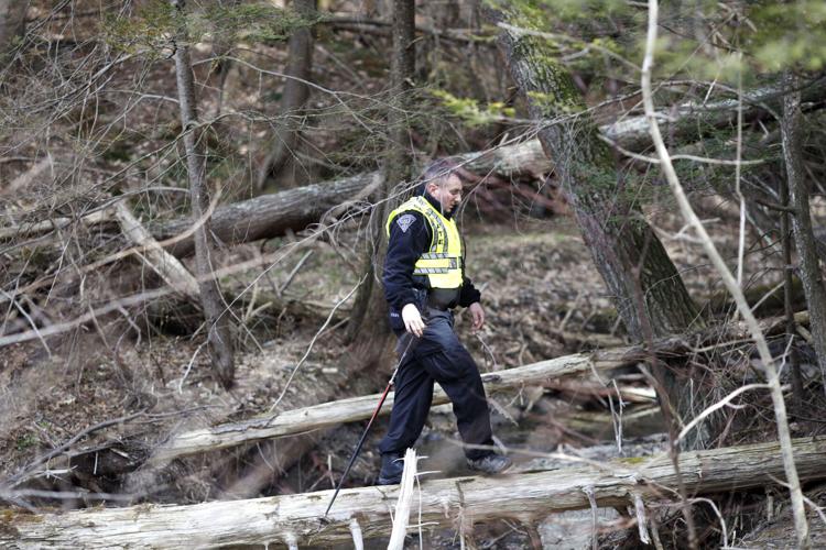 state police officer searches woods