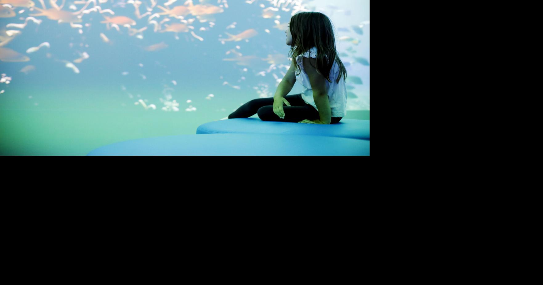 Girl looking at fish tank