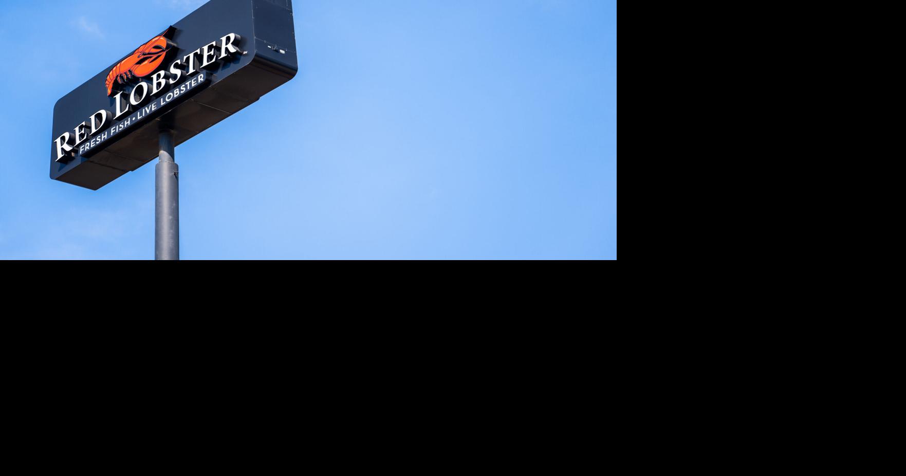 [Seth Says] Bonus Content!