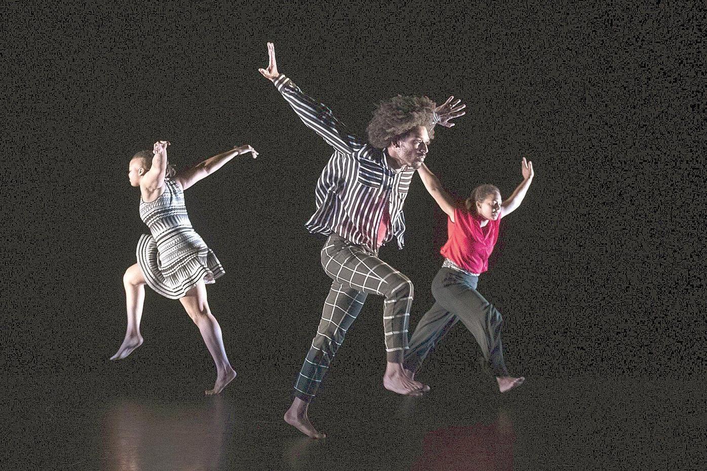 'Gorgeously diverse' display of dance in 2019