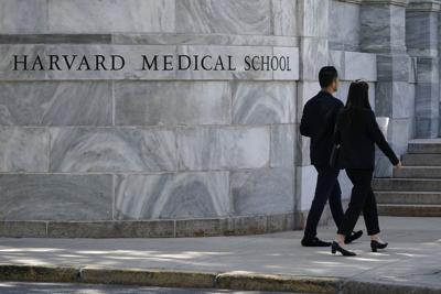 harvard article about lgbtq infants Not Real News