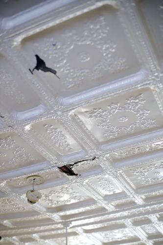 cracked white tin ceiling