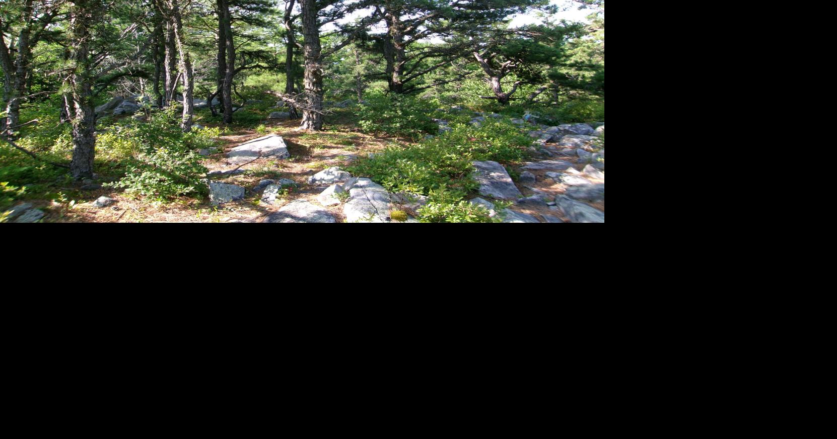 Lauren R. Stevens: Greenagers' efforts greatly improve hiking at the East Mountain Loop
