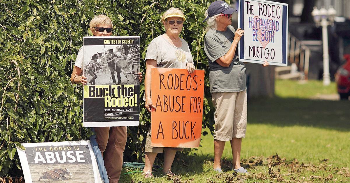Adams Rodeo For some, rodeo at Adams Agricultural Fair seen as a horse of a ...