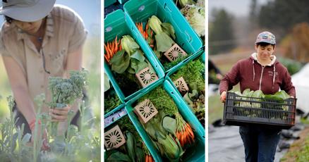 From seed to harvest: A look at a full growing season at Full Well Farm in Adams - Vimarsana News