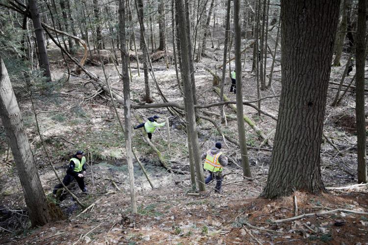police fan out through woods in search of woman