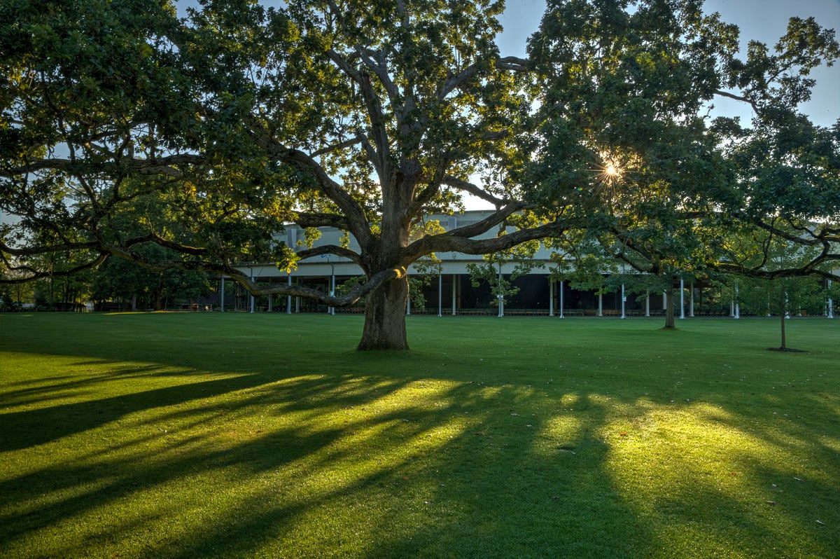 Clarence Fanto | The Bottom Line: Tanglewood Aims To Hit The Right ...