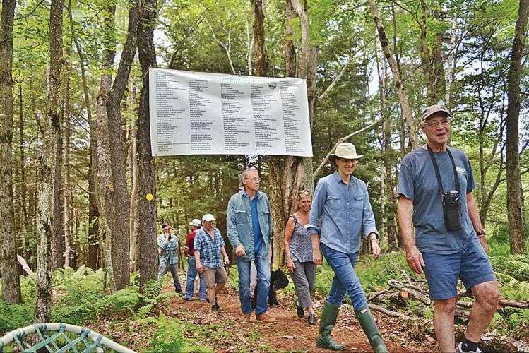 New Marlborough Land Trust celebrates newly trail with 'Hikeable Feast' Archives