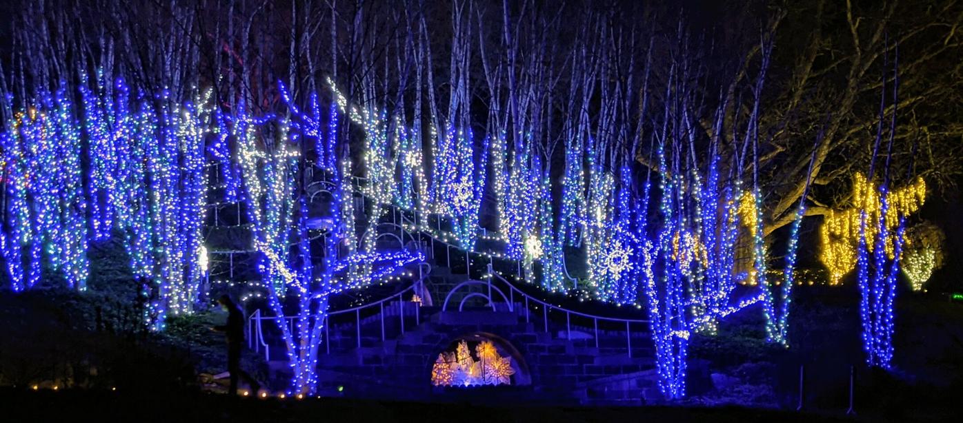Cabot Christmas Lights 2022 Naumkeag Light Display Called One Of Best In U.s.; Show Extended Into  January | Local News | Berkshireeagle.com