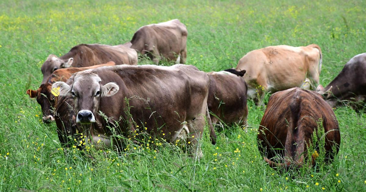Williamstown puts $25,000 toward farmland preservation