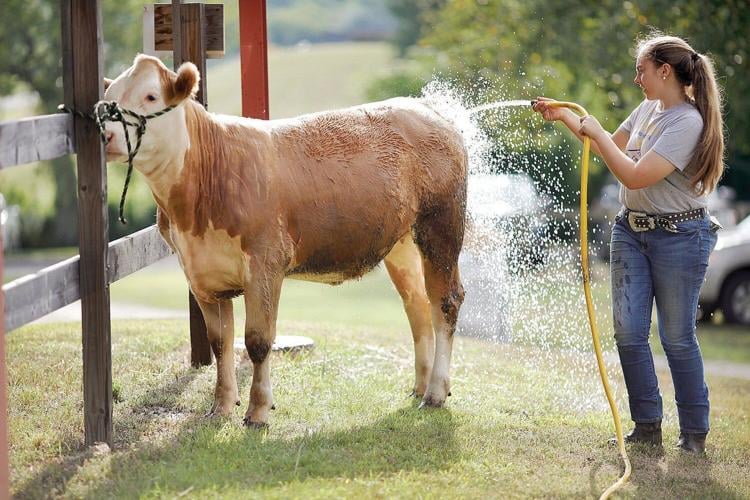 4-H Youth Fair: By kids for kids