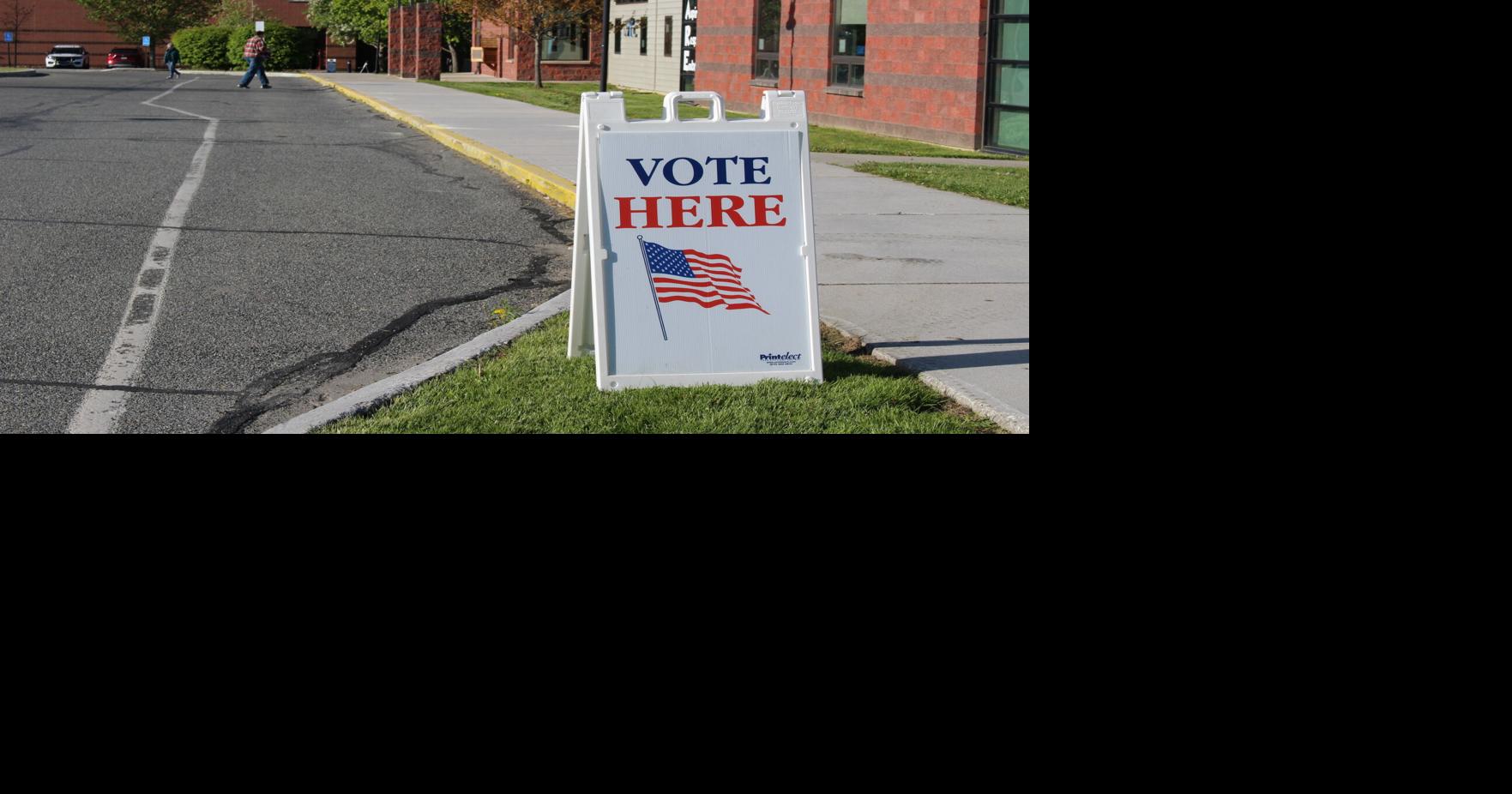 Janet Curran, Michael Sussman win Williamstown library trustee posts in election's only contested race