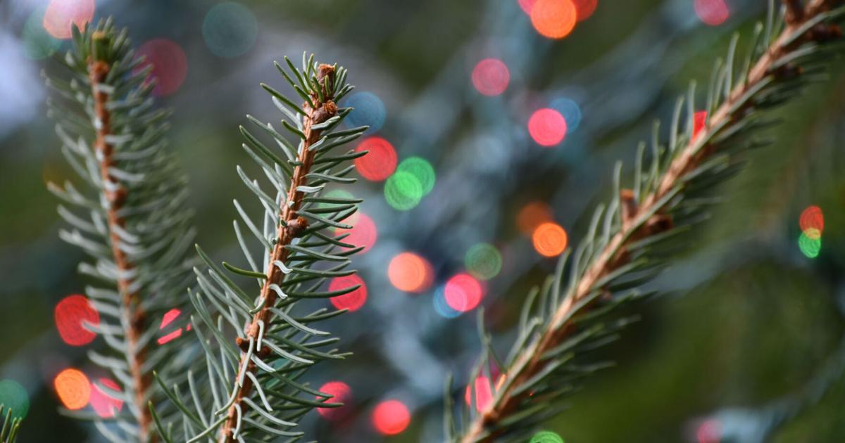 Need to get rid of your Christmas trees and wreaths? Head to this drop-off event in Lee …