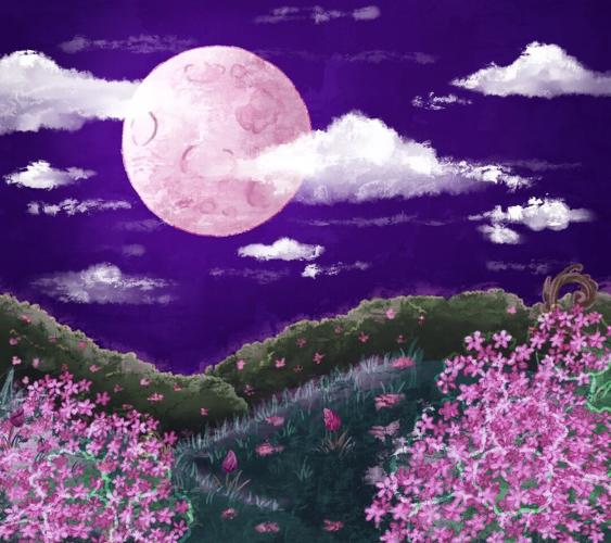 What is a 'Pink Moon'? Full moon rituals to blossom this spring