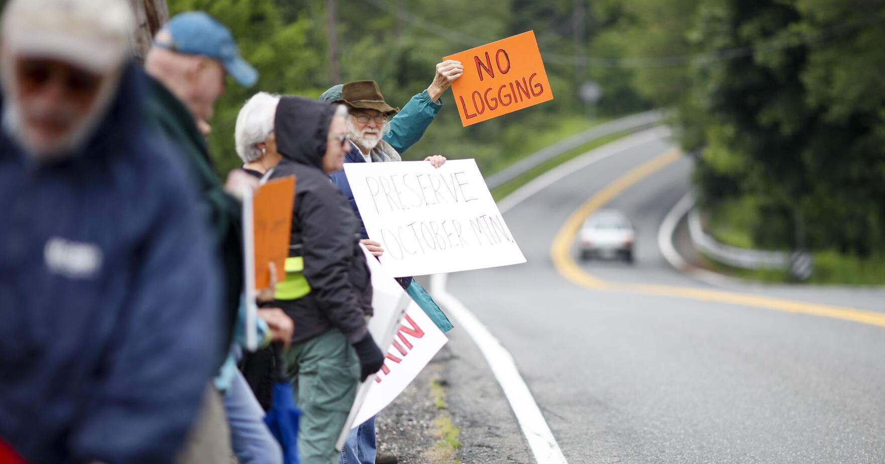 Protesters gather at October Mountain State Forest in Washington to stop a proposed state logging operation - Vimarsana News