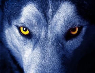 Interactive: The Definitive List of Werewolf-Friendly Cities | Local News |  