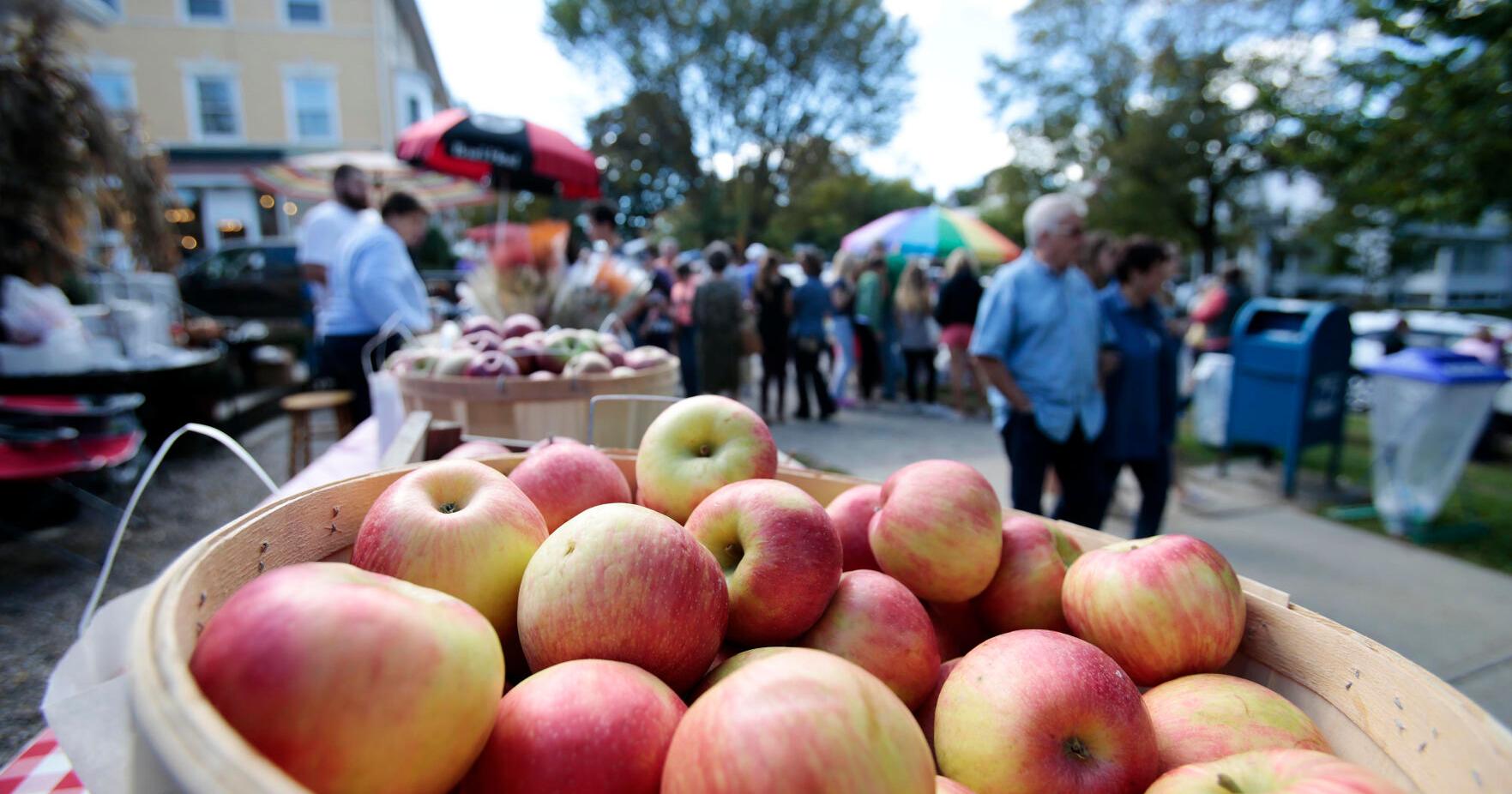 7 fall fun events not to miss in the Berkshires - Vimarsana News