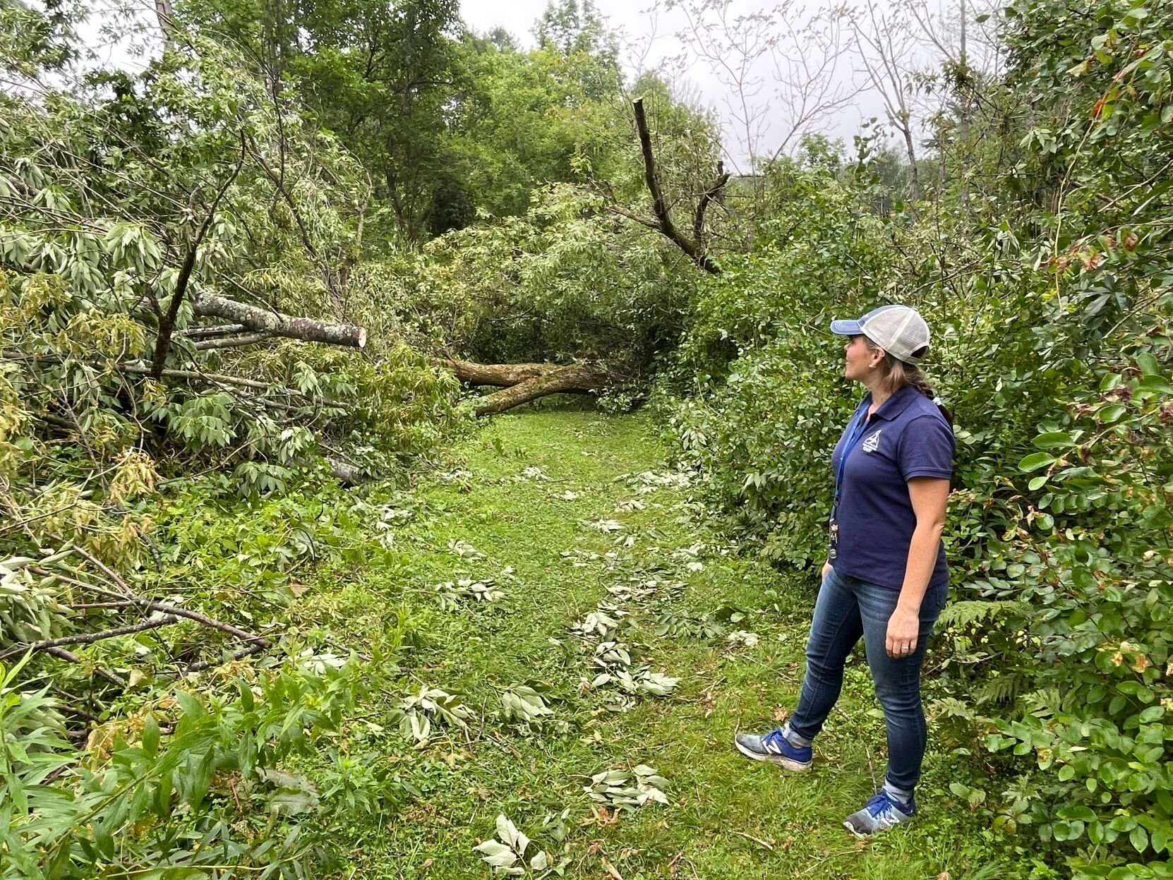 Clarence Fanto | The Bottom Line: The 'ay' Of The Storm, And What Lies ...