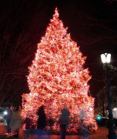 Pittsfield Christmas Tree Lighting 2022 Video: Pittsfield Christmas Tree Lighting | Archives | Berkshireeagle.com