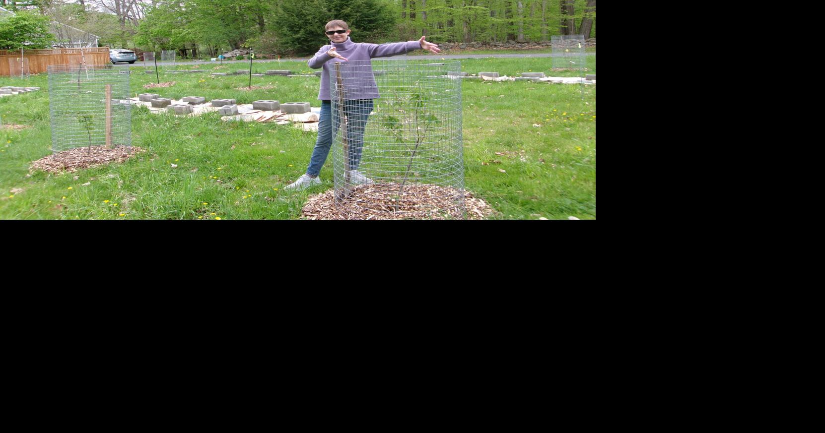Previous Previous What Hampshire College's fate means for schools like MCLA Eagle columnist Mitchell Chapman reflects on the closure of … Next Up Next Up Losing Abe Foxman: A giant passes at a particularly bad time A Bridges Road garden is growing food, flowers and neighborhood ties Lauren R. Stevens writes a regular environmental column for the Eagle.