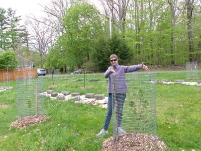 A Bridges Road garden is growing food, flowers and neighborhood ties | Columnists | The Berkshire Eagle