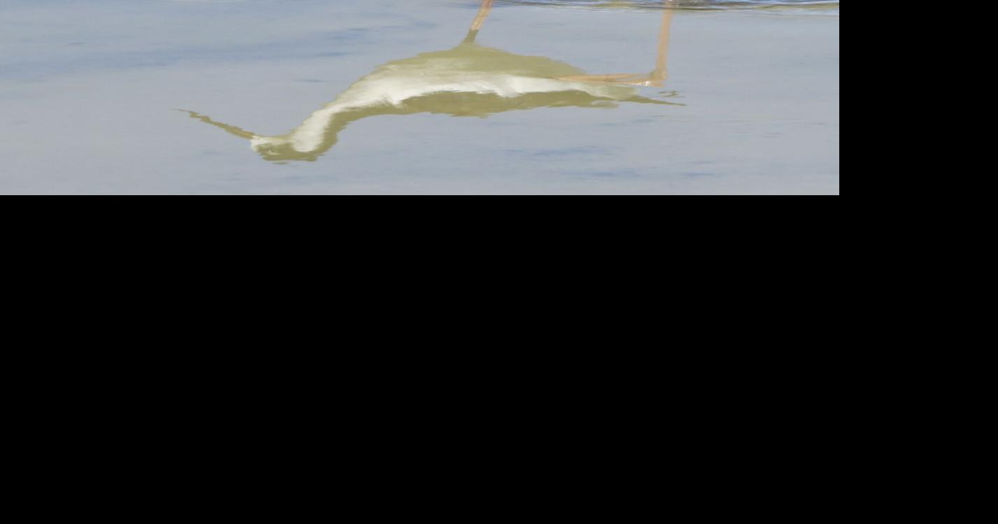 Birding in the middle of nowhere