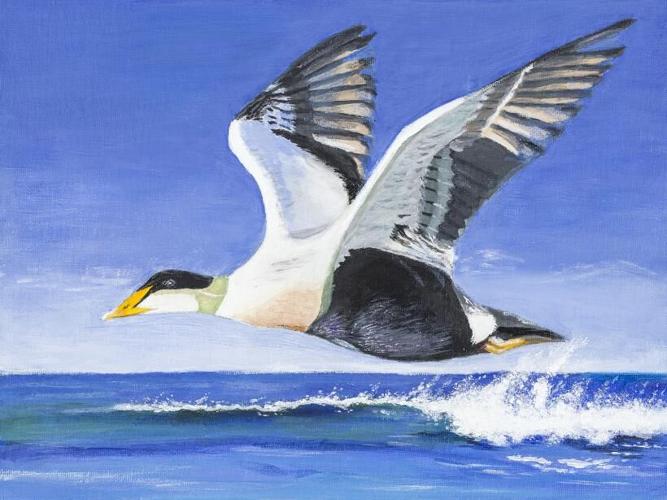 duck stamp image