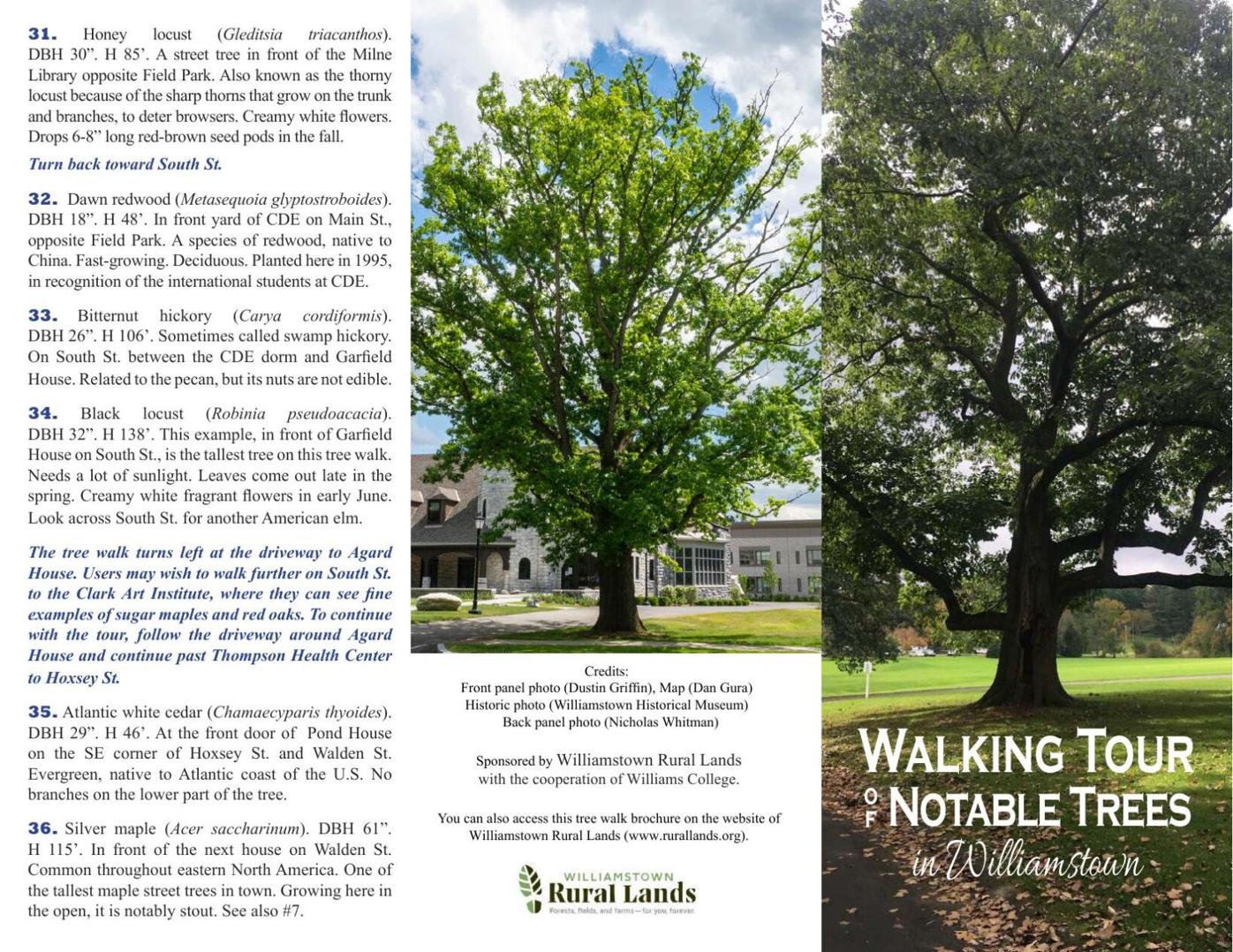 County Fare: Williamstown Rural Lands has a tree tour for you ...