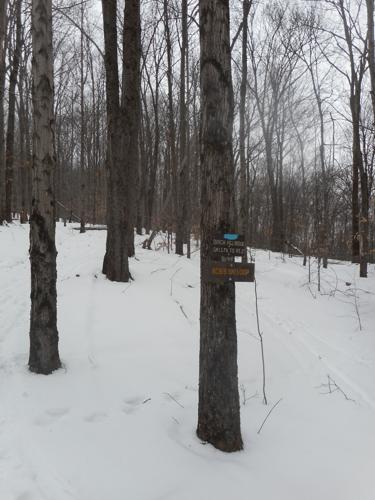 Birch Hill signs