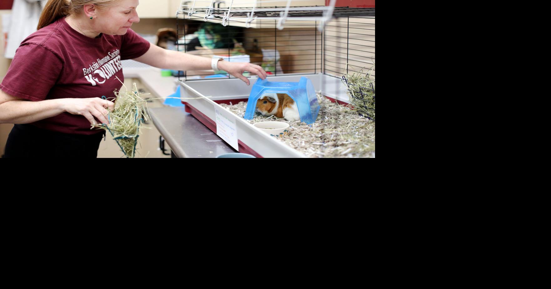 At Berkshire Humane Society, helping animals starts with helping people