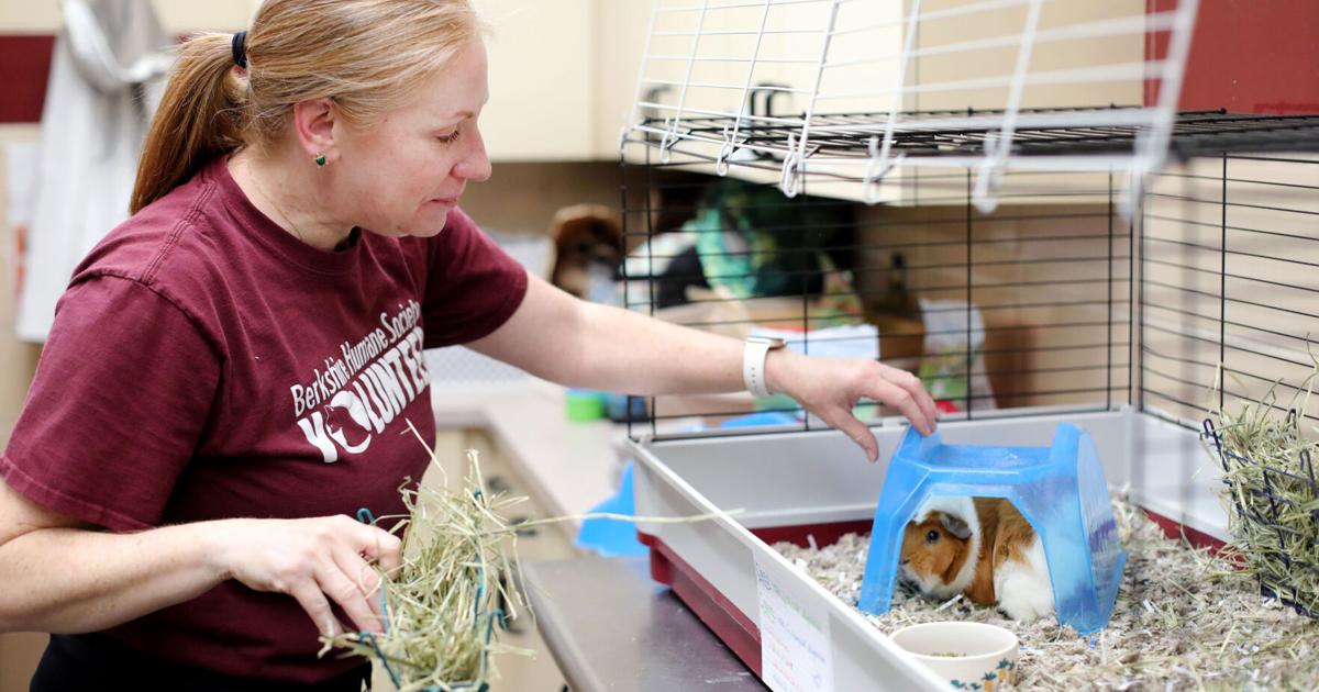 At Berkshire Humane Society, helping animals starts with helping people