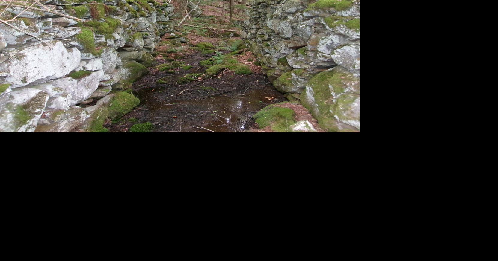 Dunbar headrace.JPG