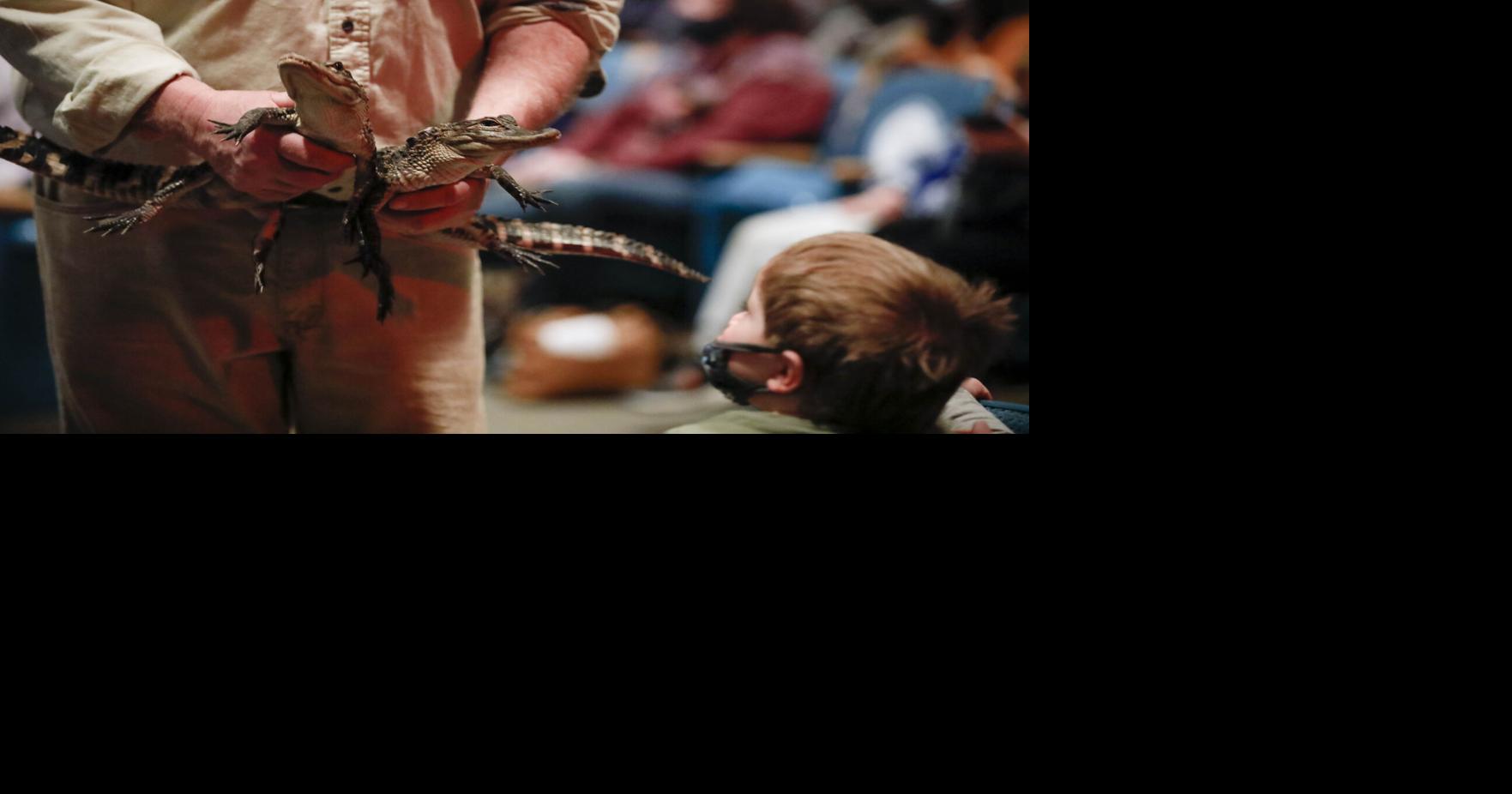 Photos The Records and Burpee Zoo Show Multimedia